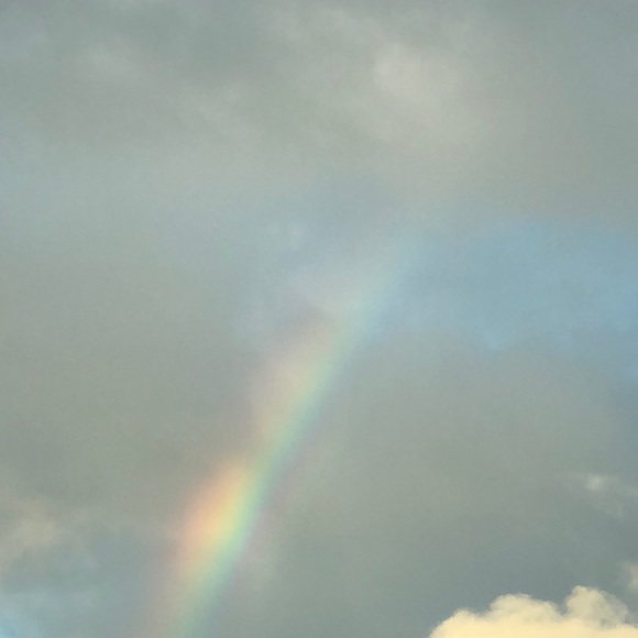 Meet your Posher, Cate - Picture 1 of 1